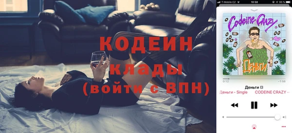 ПСИЛОЦИБИНОВЫЕ ГРИБЫ Алзамай