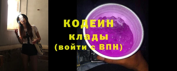 гашик Арсеньев