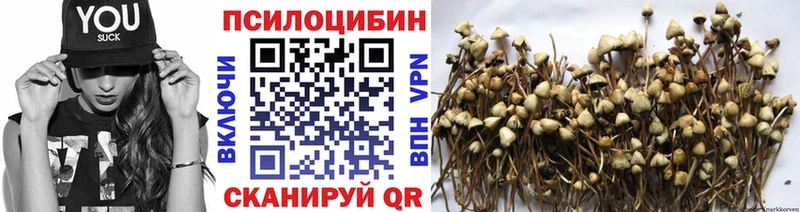 купить наркотики цена  кракен онион  Галлюциногенные грибы GOLDEN TEACHER  Печоры 